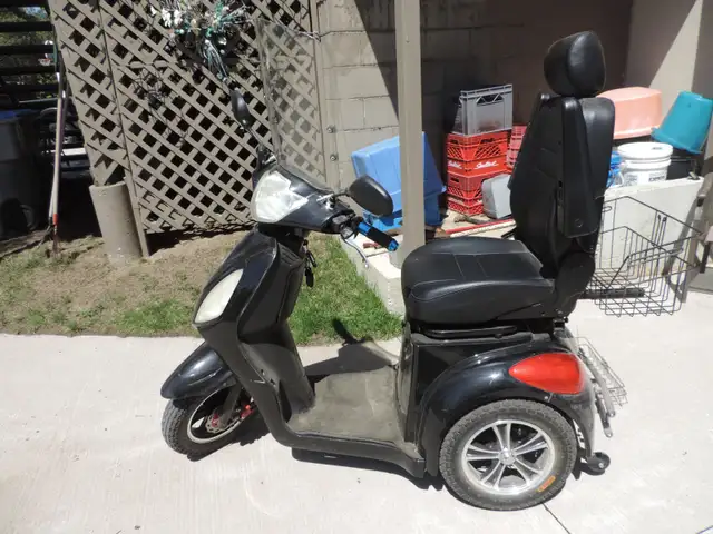 Daymark Rickshaw Mobility Scooter