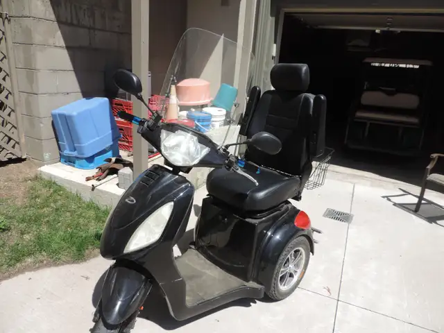 Daymark Rickshaw Mobility Scooter - Photo 6