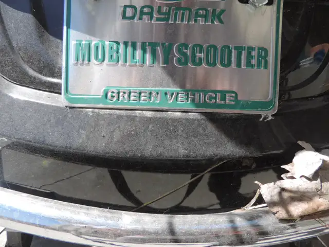 Daymark Rickshaw Mobility Scooter - Photo 10