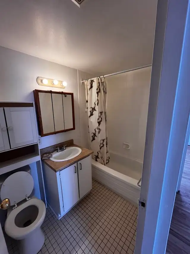 5 1/2 JUILLET La Prairie à côté A132, Pont Champlain à 7min - Photo 6