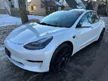 2021 Tesla Model 3 For Sale.
