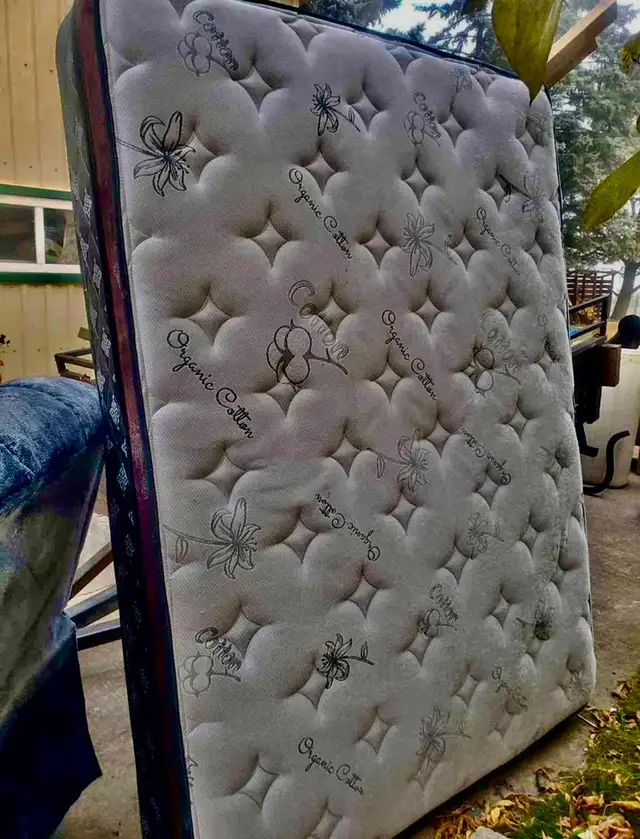 Queen Mattress Plush Mattress Soft Comfortable Like New