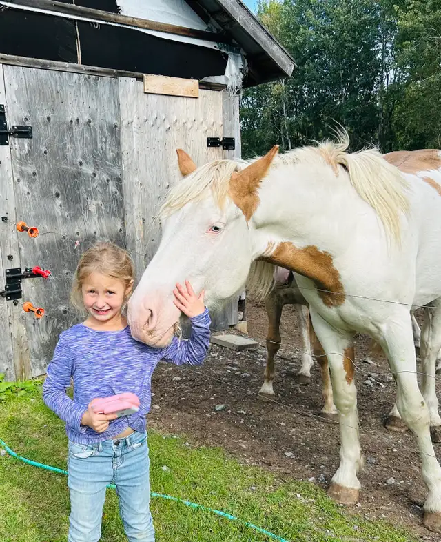 gypsy X paint - Photo 3