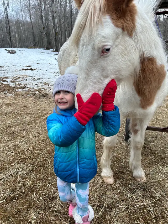 gypsy X paint - Photo 8