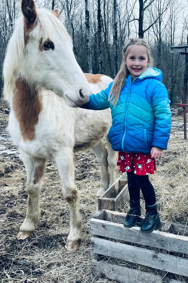 gypsy X paint - Photo 9