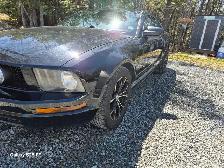 2005 mustang