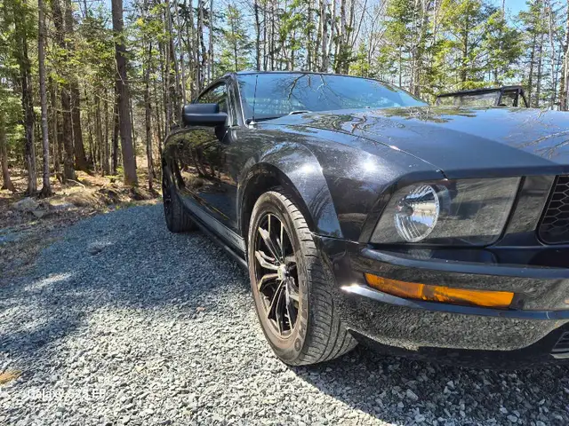 2005 mustang - Photo 4