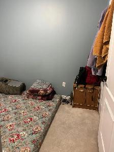 Accommodation Available for Girls - Photo 2