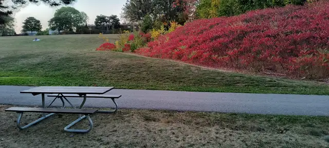 Mississauga close SquareOne rent room available May 1 - Photo 8