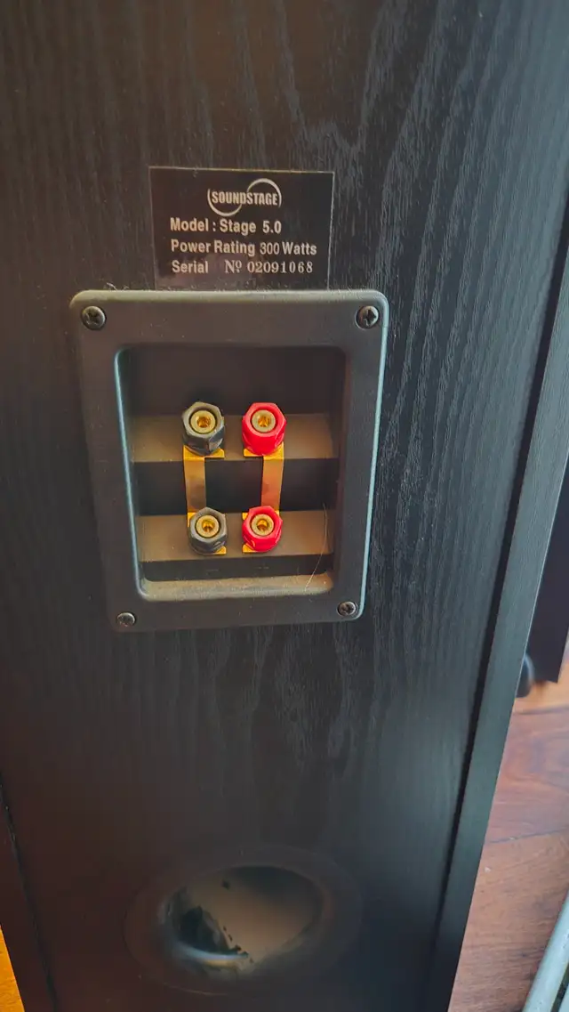 Soundstage Tower Speakers for sale - Photo 3