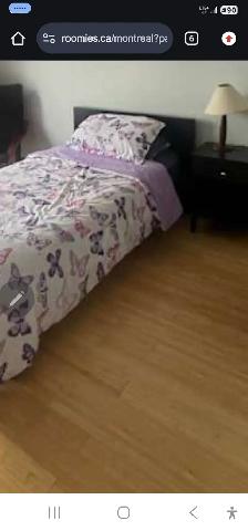 Rent Negotiable for occasional dog walking.