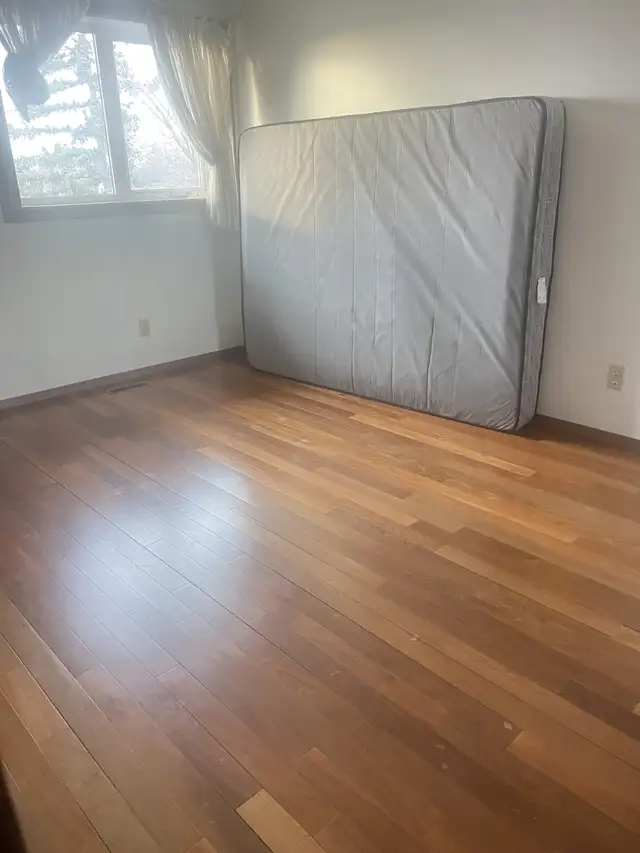 5 min Walk to Whitehorn Ctrain / Near Industrial area & Airport - Photo 3