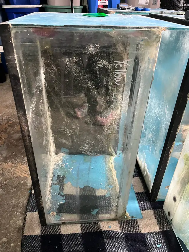 FREE TANKS - Photo 2