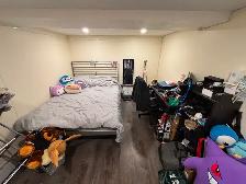 Furnished room summer or one year rental downtown Toronto