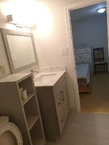 Room with Private Bathroom near Erindale GO Station - Photo 3