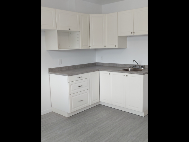 Montréal - BEAU GRAND 4 1/2 COIN HENRI BOURASSA ET PIE IX - Photo 2