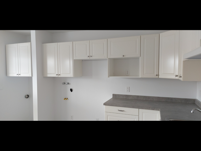 Montréal - BEAU GRAND 4 1/2 COIN HENRI BOURASSA ET PIE IX - Photo 4