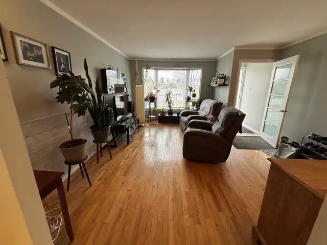 6 1/2 spacieux - Photo 4