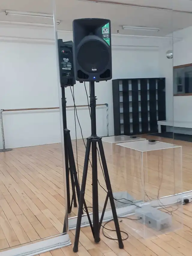 speakers for sake/speakers a vendre