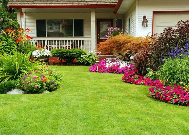Grass cutting / tree trimming