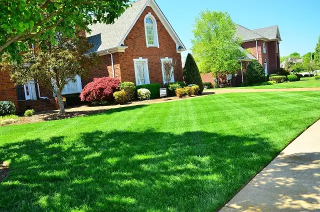 Grass cutting / tree trimming - Photo 2