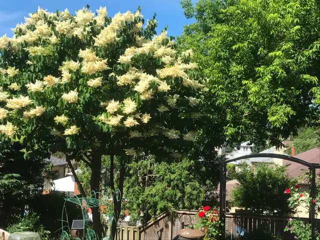 Furnished room for Rent - Photo 9