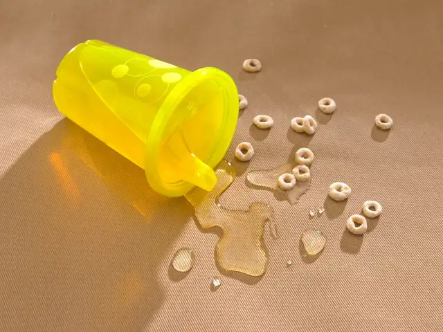 Housses protectrices de sièges - Photo 2