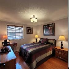 Room in Quiet, Neat South End Home