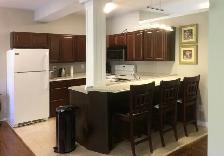 Fully Furnished One Bedroom - Photo 9