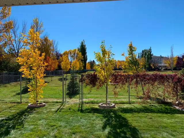 FURNISHED ROOM!! FREE INTERNET/UTILITIES! HOME GYM & SAUNA! - Photo 2