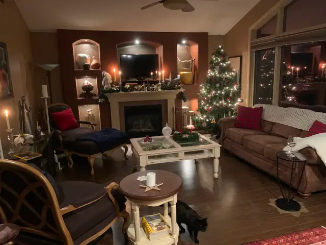 FURNISHED ROOM!! FREE INTERNET/UTILITIES! HOME GYM & SAUNA! - Photo 6