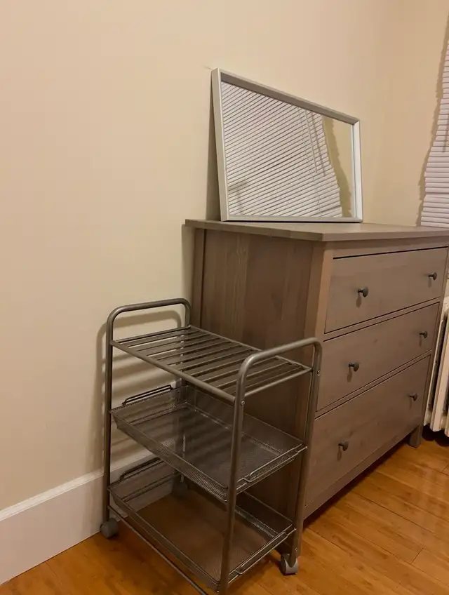 Weston and Eglinton | female only | May 1st | $650/month - Photo 2