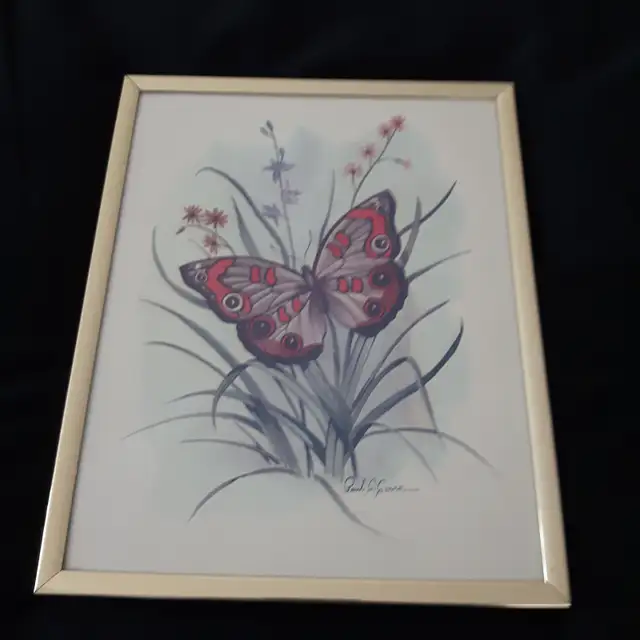 CADRE NEUF OR 8'x10' SIGNÉ PAUL C. CONNOR, ART BUTTERFLY: $15.00