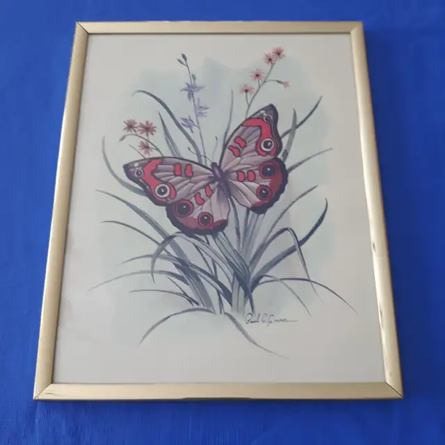 CADRE NEUF OR 8'x10' SIGNÉ PAUL C. CONNOR, ART BUTTERFLY: $15.00 - Photo 2