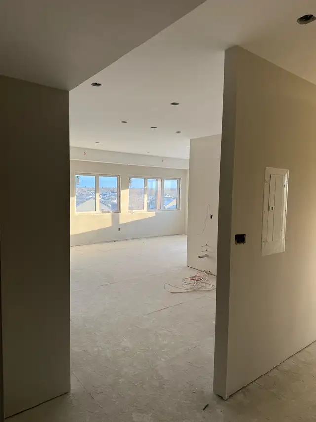 Professional painters - Photo 2