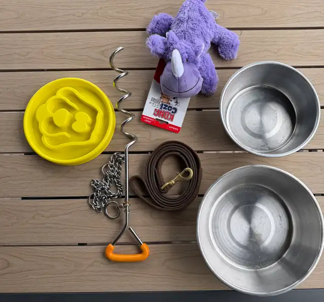 accessoires pour chien