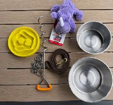 accessoires pour chien