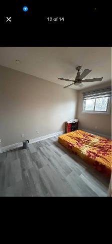 Private room for rent - Photo 2
