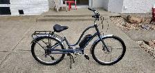 Electra Townie Ebike Go!