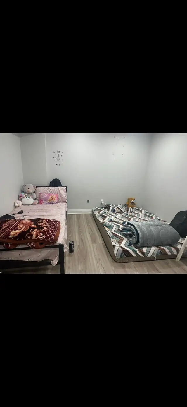 3 bedroom legal basement for rent - Photo 3