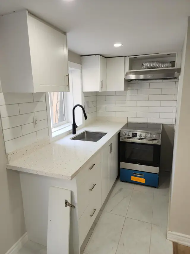 (LOWER LEVEL-Luxurious Hamilton walkout Basement) - Photo 4