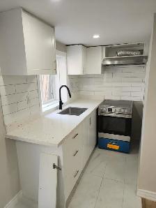 (LOWER LEVEL-Luxurious Hamilton walkout Basement) - Photo 4