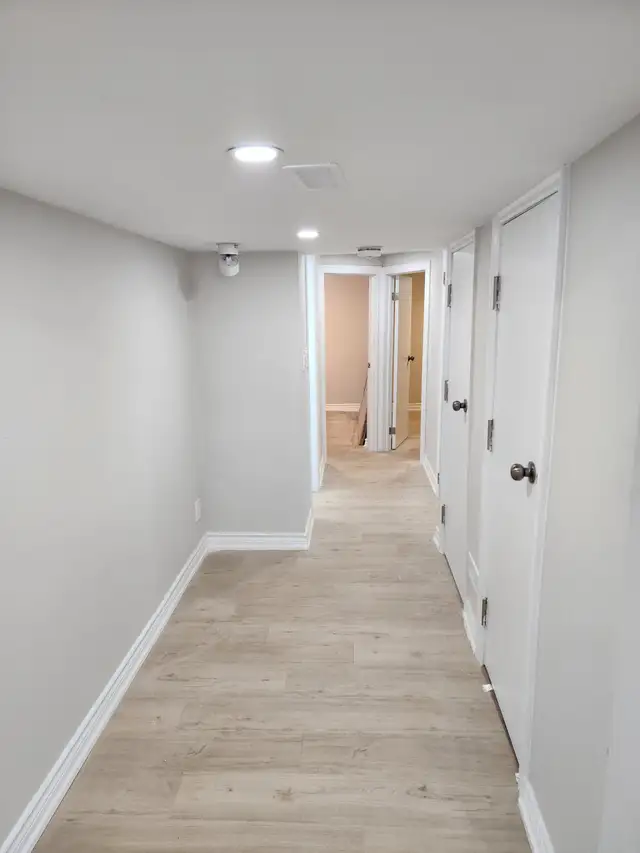 (LOWER LEVEL-Luxurious Hamilton walkout Basement) - Photo 5