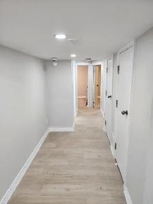 (LOWER LEVEL-Luxurious Hamilton walkout Basement) - Photo 5