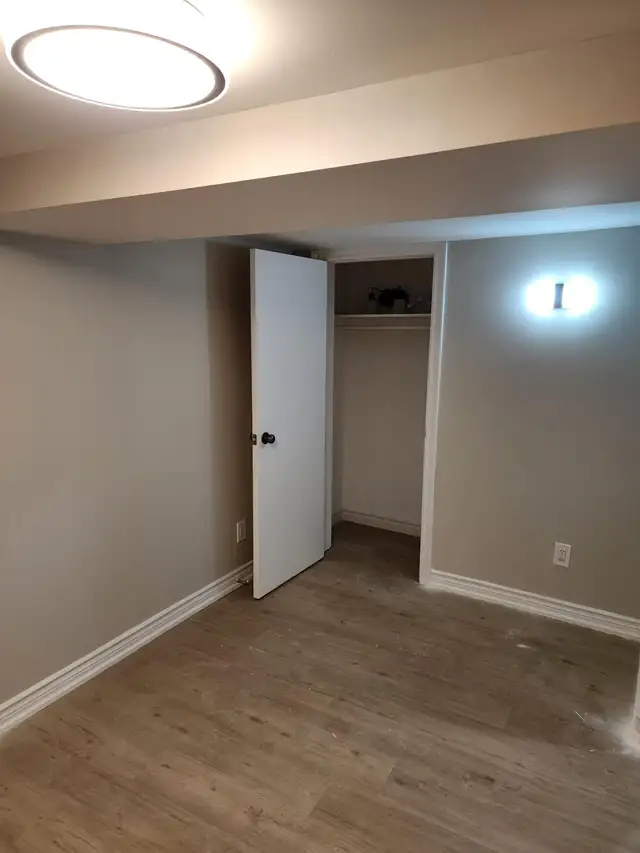 (LOWER LEVEL-Luxurious Hamilton walkout Basement) - Photo 9