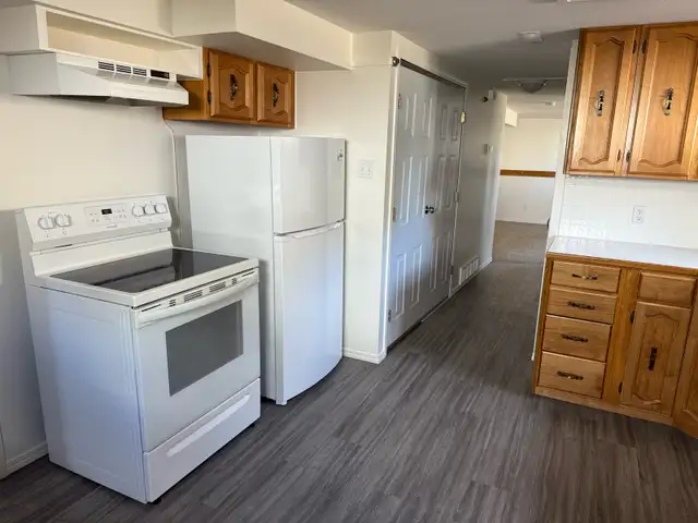 BRIGHT NORTHSIDE ONE BEDROOM BASEMENT SUITE/ JUNE 1st $1200