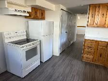 BRIGHT NORTHSIDE ONE BEDROOM BASEMENT SUITE/ JUNE 1st $1200