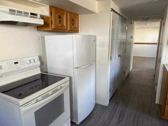 BRIGHT NORTHSIDE ONE BEDROOM BASEMENT SUITE/ JUNE 1st $1200 - Photo 2