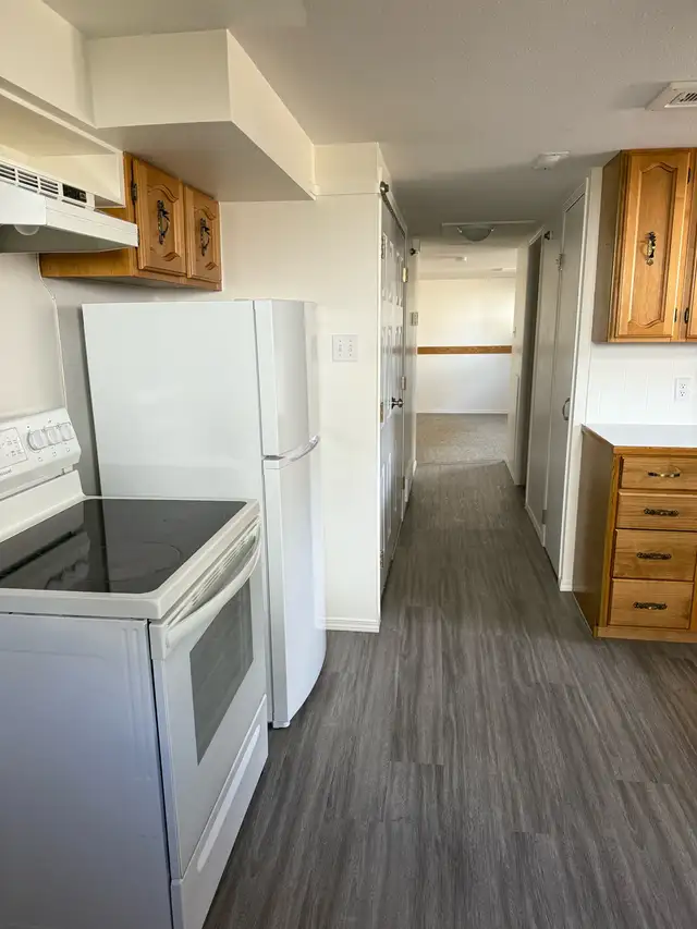 BRIGHT NORTHSIDE ONE BEDROOM BASEMENT SUITE/ JUNE 1st $1200 - Photo 3