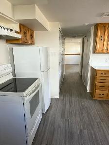 BRIGHT NORTHSIDE ONE BEDROOM BASEMENT SUITE/ JUNE 1st $1200 - Photo 3